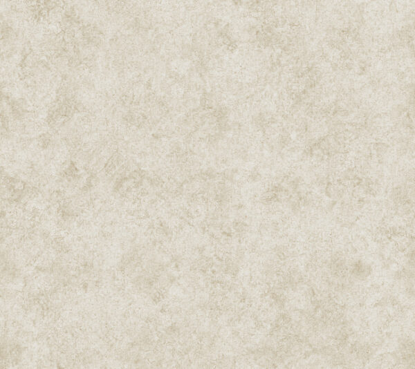 922691ex_c-1.jpg