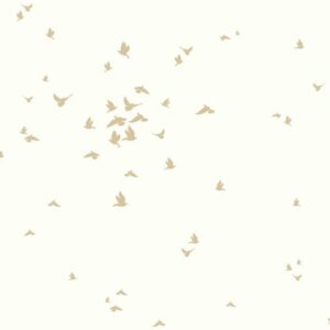 FABLE BIRD - DW2330