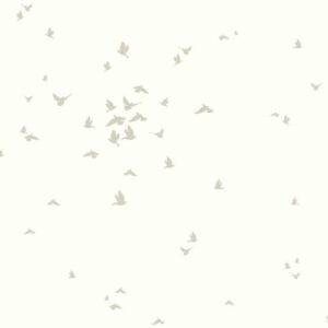 FABLE BIRD - DW2334