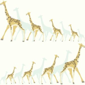 GIRAFFES	- DW2360