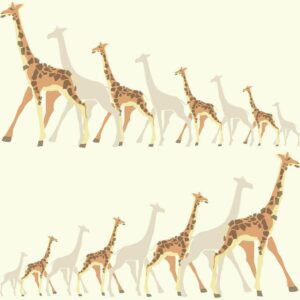 GIRAFFES	- DW2361