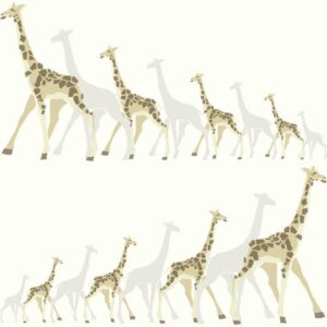 GIRAFFES	- DW2362