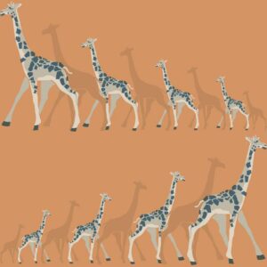 GIRAFFES	- DW2363