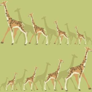 GIRAFFES	- DW2364