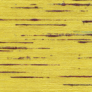 TALAMONE - VP 851 04