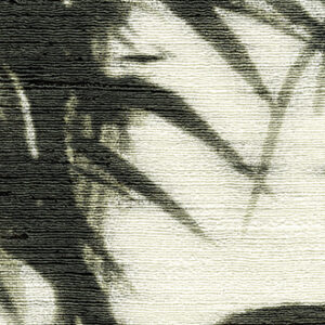 TALAMONE - VP 854 01