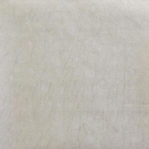 WINDSWEPT - FL6632
