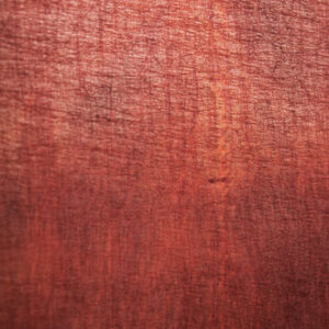 PARADISIO - RM 607 37