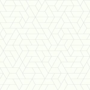 POINT OF VIEW - SW7455