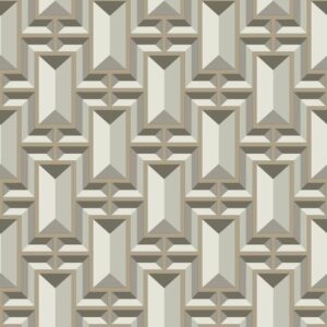 FACET GEO - SW7470