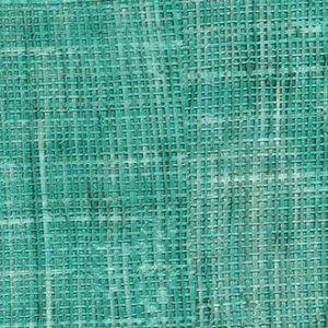 RAFFIA & MADAGASCAR - VP 601 66