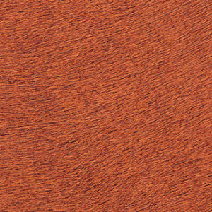 INDOMPTÉE - VP 625 42