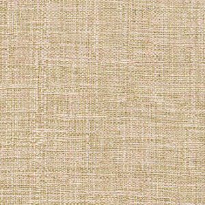 RAFFIA & MADAGASCAR - VP 631 35