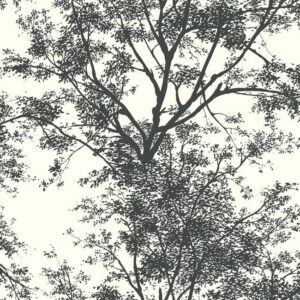 TREE SILHOUETTE - YV9012