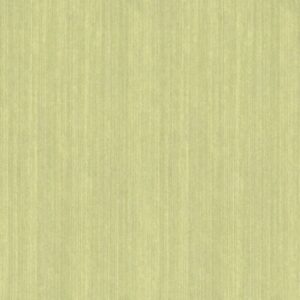HORIZONS-HOR1204