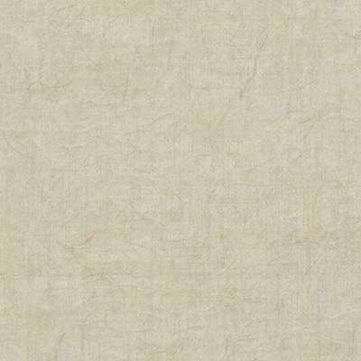 th_2489_nai6802.jpg