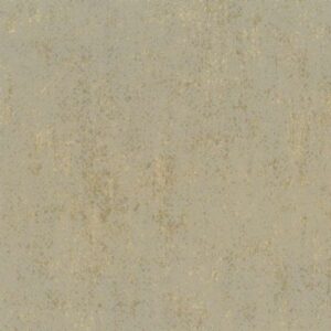 BORNEO - BOA301