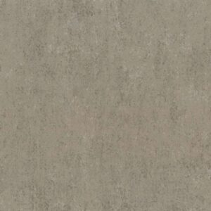 BORNEO - BOA303