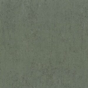 BORNEO - BOA312