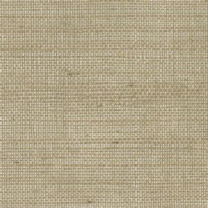 SHADES OF PALE - SOP4101