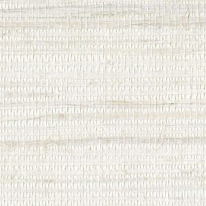 SHADES OF PALE - SOP4124