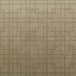 BROCADES-BR3079