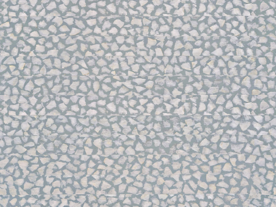 SRA1701