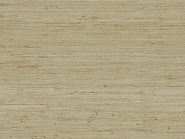 SRA4216