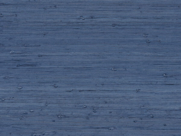 SRA4221