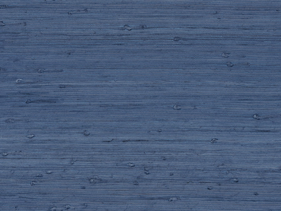 SRA4221
