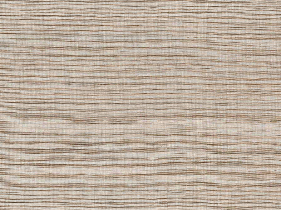 SRA4304
