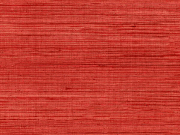 SRA4305