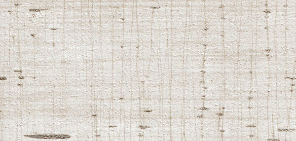APX-LEO-01_web