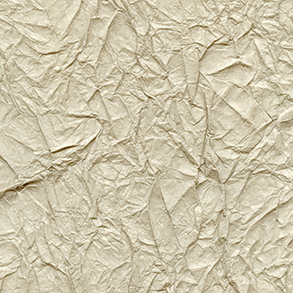 ELITIS_wallcovering_Washi_RM-221-10