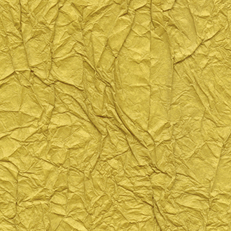 ELITIS_wallcovering_Washi_RM-221-21