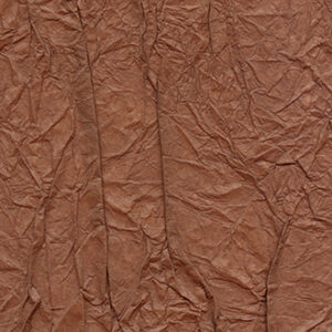 WASHI-RM 221 35