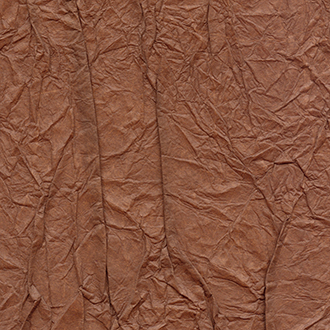 ELITIS_wallcovering_Washi_RM-221-35