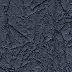 WASHI-RM 221 49