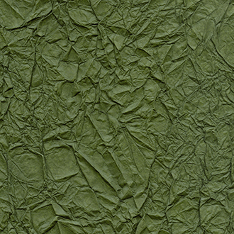 ELITIS_wallcovering_Washi_RM-221-64
