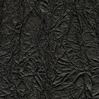 ELITIS_wallcovering_Washi_RM-221-80