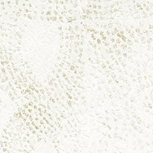 WASHI-RM 224 02