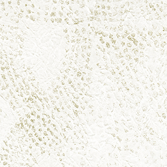 ELITIS_wallcovering_Washi_RM-224-02