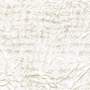 WASHI-RM 225 02