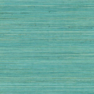 COIBA-RM 110 47