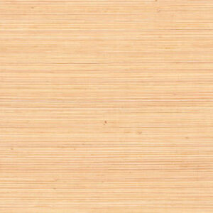 COIBA-RM 110 53