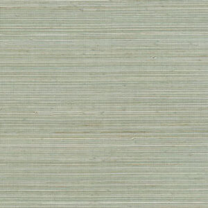 COIBA-RM 110 61