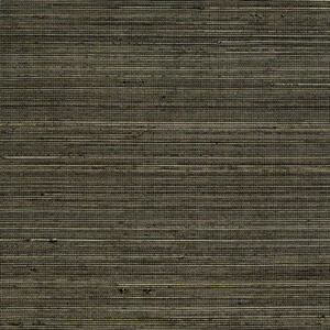 COIBA-RM 110 62