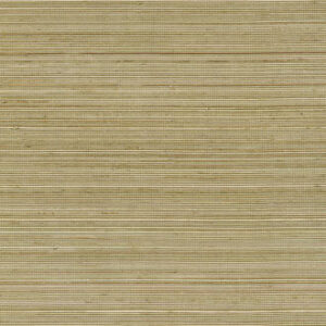 COIBA-RM 110 68