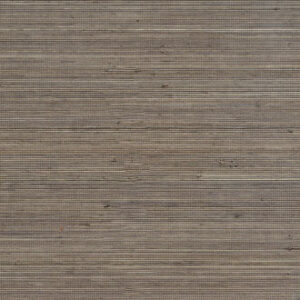 COIBA-RM 110 87