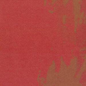 FLOWER POWER-TP 307 02